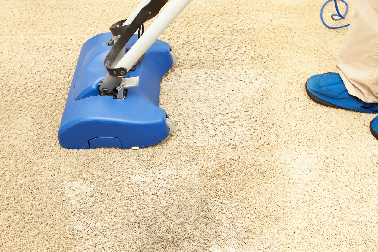 getting allergens out of carpet