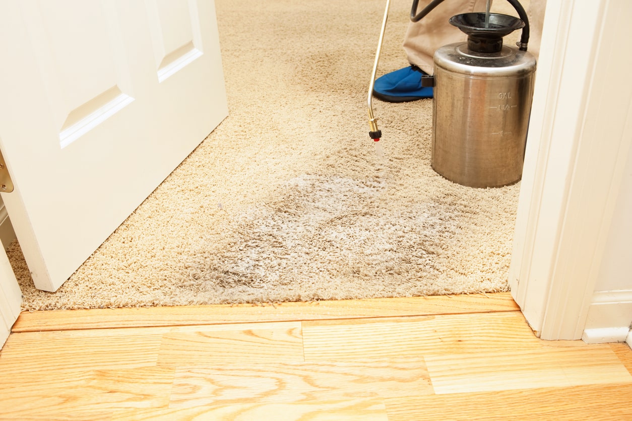 removing unpleasant odours from carpet