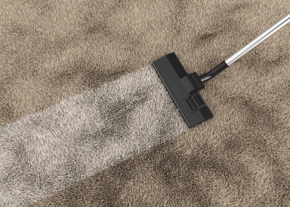 vacuum cleaning cowhide rug