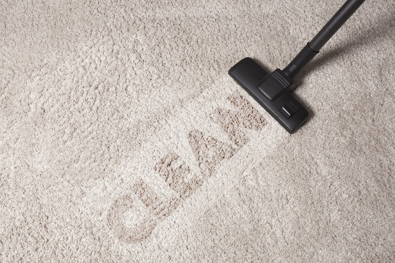 vacuuming carpet frequently with hepa filter