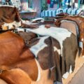 various cowhide rugs ready to be cleaned