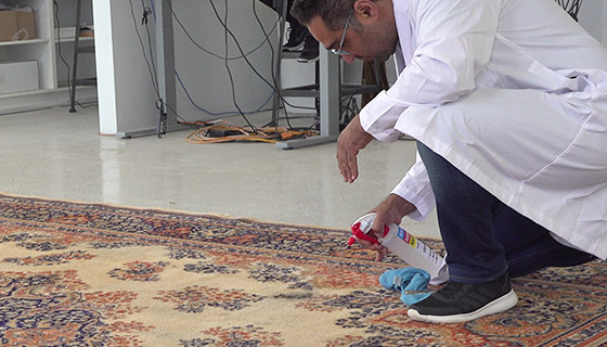 Area Rug Cleaning Pre Treatment Oshawa