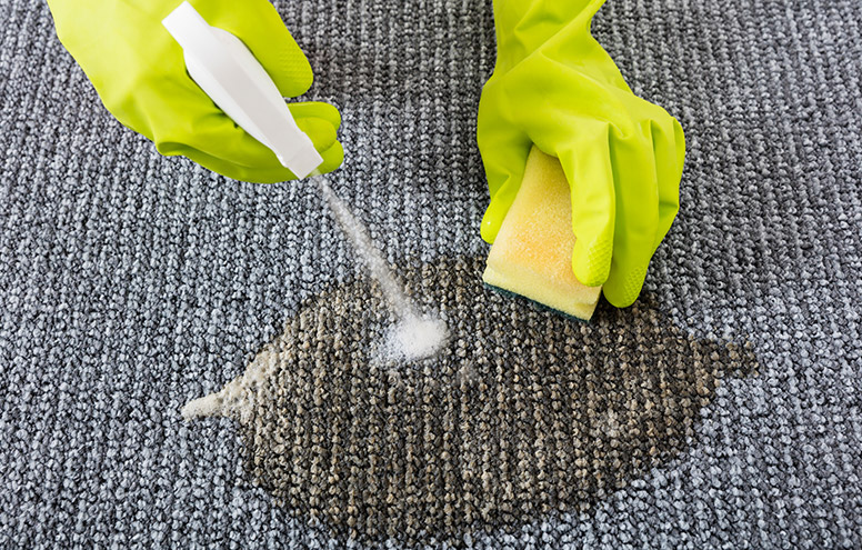  best carpet cleaner pre-treatment