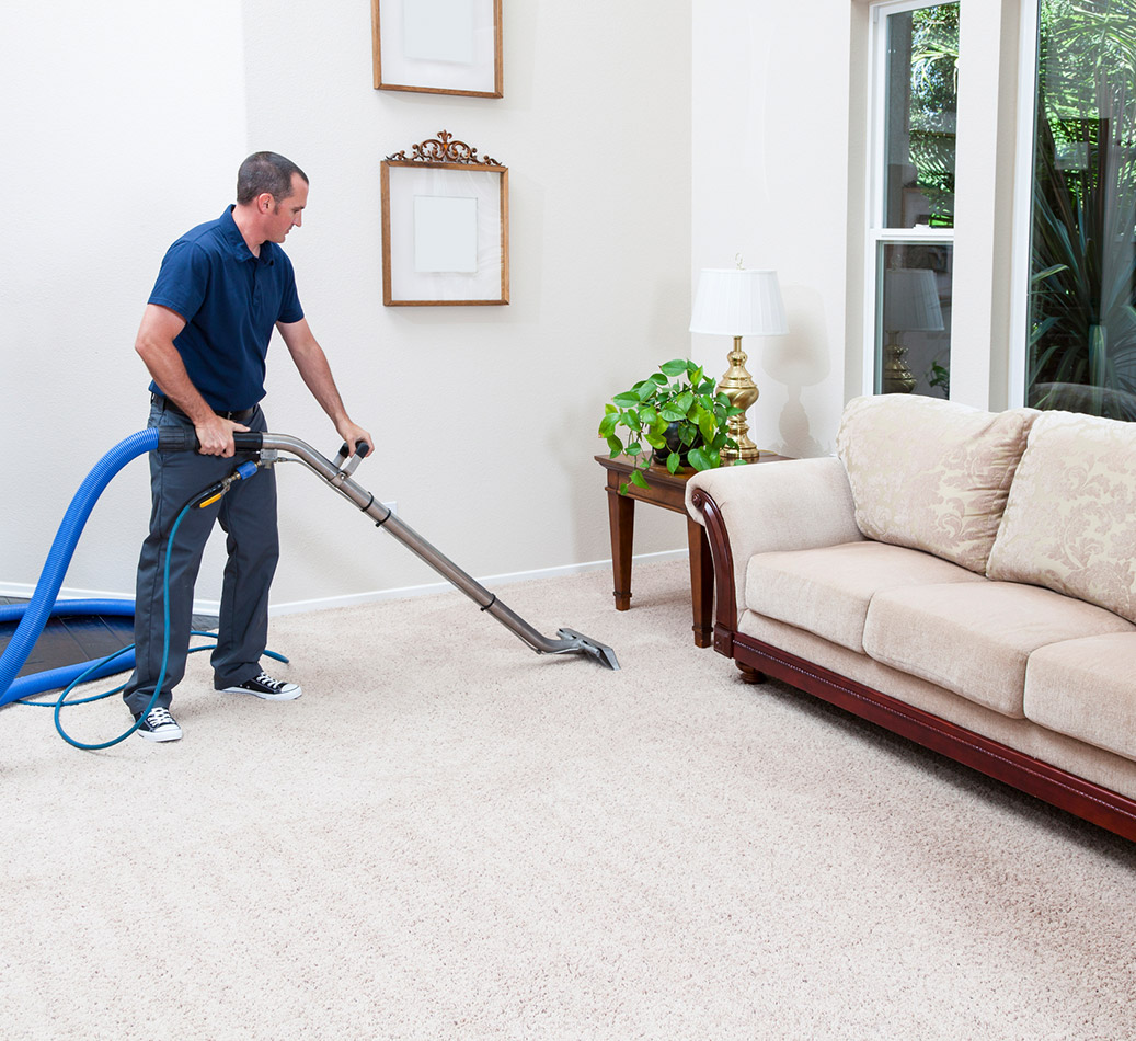 carpet professional cleaner