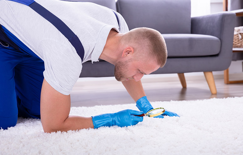 carpet washing Toronto post inspection