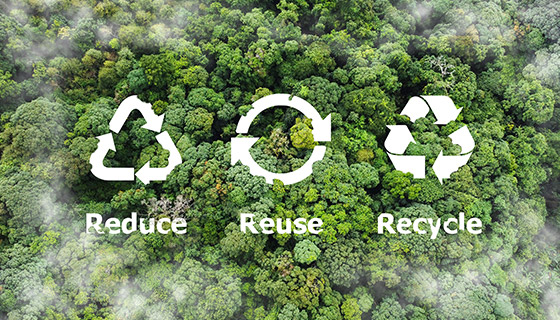 Promote a Circular Economy