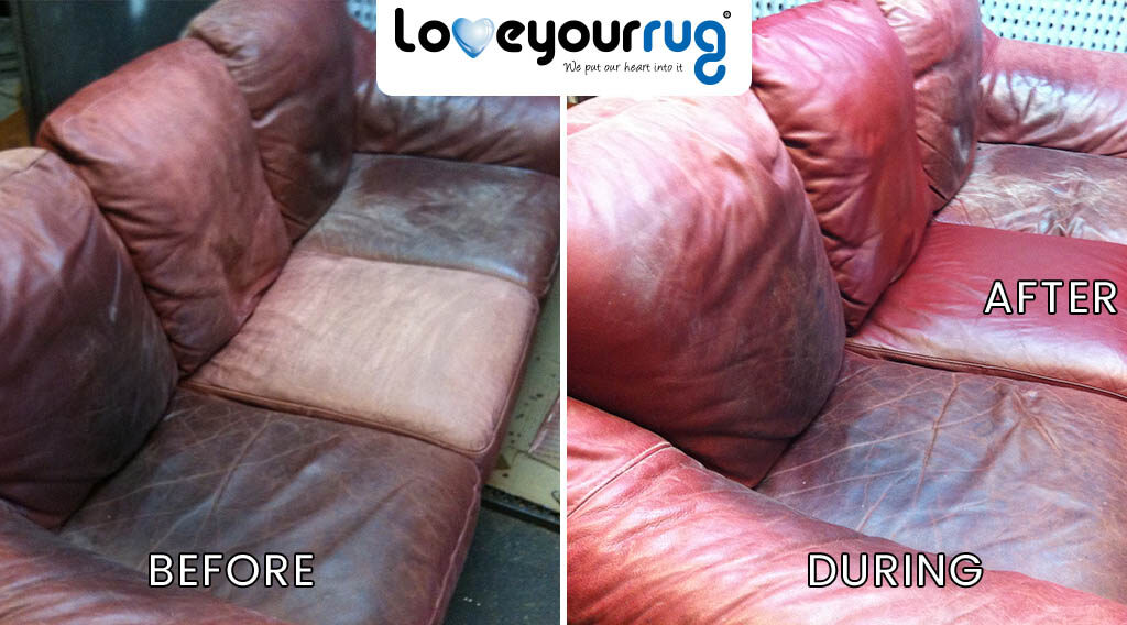 Furniture & Cushion Cleaning 1