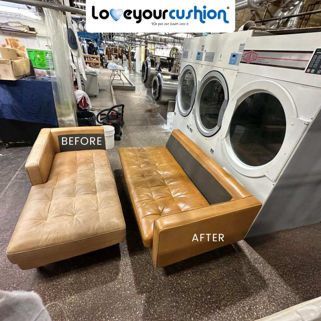 Furniture & Cushion Cleaning Before and After 7